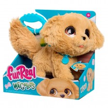 Perro Golden Retriever Wagalots
