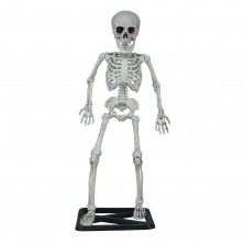 Esqueleto de Pie 55 cm