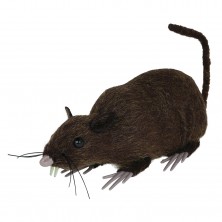 Rata Marrón 15 cm