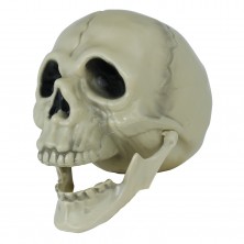 copy of Calavera PVC 20 cm