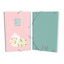 Carpeta 3 Solapas Molang