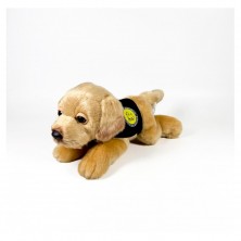 Peluche Perro Labrador 21 cm