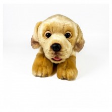Peluche Perro Labrador Canela 25 cm
