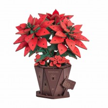 Ramo Flor de Pascua