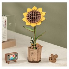 Girasol
