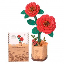 Camelia Roja
