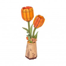 Tulipán Naranja