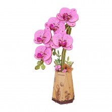Orquídea Morada