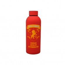 Botella Acero Inoxidable Gryffindor
