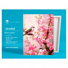 Lienzo Pintar por Números Pájaro Primavera
