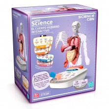 Cuerpo Humano Busto Interactivo