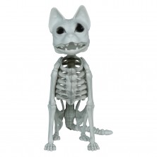 Esqueleto Gato 37 cm