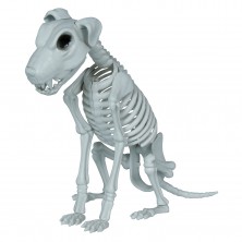 Esqueleto Perro 38 cm