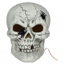 Calavera con Arañas y Luz 35 cm