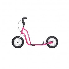 Patinet Rosa Mitjà