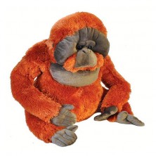 Peluix  Orangutá