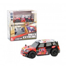 Coche Rally Extreme RC