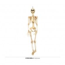 copy of Esqueleto 40 cm
