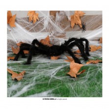 Araña Negra Gigante 70 cm