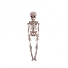 Esqueleto Colgante 40 cm