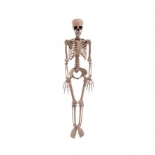 Esqueleto Colgante 90 cm
